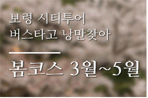 보령관광