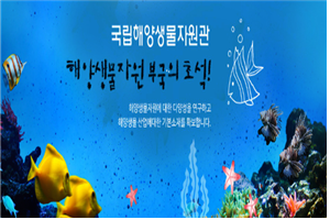 충남국립해양박물관
