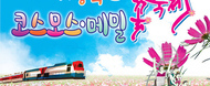하동북천 코스모스메밀 꽃축제  /  18.09.21~1