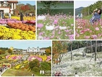 가을엔 임실군, 가을 분위기 물씬