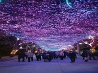 고창군, 제3회 고창 벚꽃축제 ‘기다렸나, 봄’  마무리
