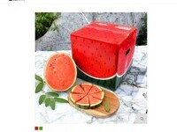 익산시, 탑마루 수박 판로 확대 박차 '전국 소비자 공략'