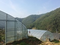 경남농기원, 온실 피복자재 고정 기술 개발