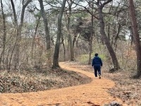 고창군, 도심 속 월곡 숲길(2.7㎞) 정비완료