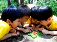 지자체 조성 유아숲체험원 등록기준 완화된다