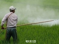 농약 허용기준 초과 주범은 ‘살충제’