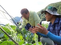   진안군, 여름철 장마 및 폭염대비  영농 현장방문
