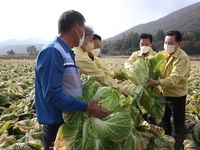 도의회, 가을 한파 농작물 피해 보상 등 대책 촉구 