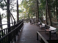 여수, 봉화산 삼림욕장에 ‘교통약자 숲길’ 마련