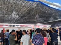 명품전주복숭아 직거래 행사 풍남문 광장에서 개최