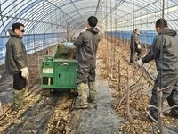 순창군, '맞춤형 농작업 대행과 영농부산물 파쇄지원단' 지원 