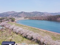 전주·완주 시티투어 여행, 오는 4월 개시