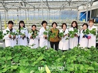전북농업기술원, 딸기 원원묘 분양