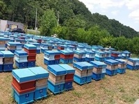 경남, 꿀벌 농가에 양봉 관련 기자재 지원