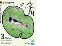 고창군, 멸종위기 철새 ‘검은머리물떼새’ 고창갯벌 3월 이달의 새 선정