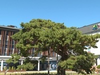 최훈식 장수군수, 인구문제 인식개선 릴레이 캠페인