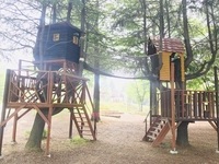 송천동에 유아숲체험원 조성…덕진권을 어린이 놀이터로