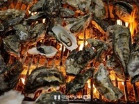 추운 겨울, 충남서 따듯하게 보낸다!