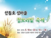 안동, 유휴지 ‘청보리밭 축제장’으로 변신
