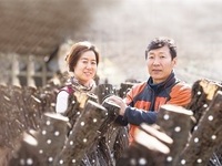 경북도, 돈되는 산으로 2025년 임산업 육성