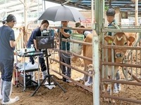 임실군, 저지종 공란우 채란(OPU) 본격 착수