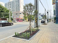 군산시, 백토로 일대 ‘사계절 가로정원’ 조성