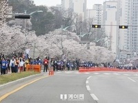 2023 새만금 국제마라톤대회, 4월 9일 벚꽃길 달린다