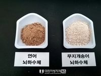전남해수원, 민물장어 인공종자 생산 연구 확대
