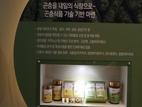 경북, 곤충산업 기술개발 시동