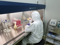 대전지역서 올해 첫 인플루엔자바이러스 검출