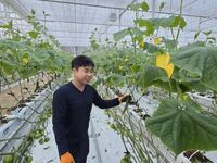 장수군, 임대형 스마트팜 청년농 ‘오이’ 재배 첫 출하 성공