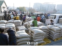 인천, 지역쌀 팔아주기 운동 소비자 큰 ‘호응’