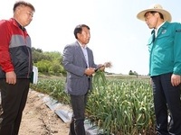 진안군, 노동력 절감을 위한 마늘 스마트기계화 시범사업 추진