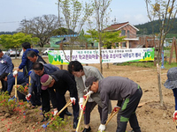함평, 주민참여 나무심기 운동 전개…에코 푸른숲 만들기 시동