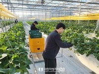상주시, 현장보급형 시험연구 스마트팜’1석 3조의 효과