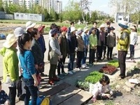 라오스 연수단, 새마을 운동 성과와 성공 요인 경북 농업현장 견학한다