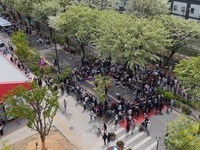 ‘전주 이팝나무 축제’, 전주시 대표 봄 축제로 자리매김