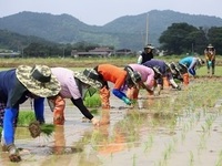 정읍시,  ‘2026년 전북 농업·농촌 공익적 가치 지원사업(농민 공익수당)’  지급
