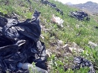‘영농 폐기물’ 집중 수거 환경오염 차단한다