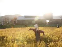 고창군, 상하농원 ‘한국관광의 별’ 지역상생관광모델 선정 