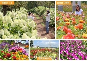 옥정호 붕어섬 생태공원, 초여름 꽃정원