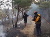 정부, 동해 산불 발생지역 재난지역 선포