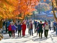 순창군 강천산군립공원, 10월 24일부터 가을 성수기 운영 시작