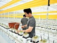 장수군, 청년농업인 임대형 스마트팜 첫 ‘토마토’ 정식