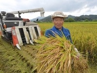 순창군, 고령 영세농 벼 농작업비 지원