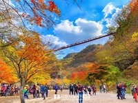 순창 강천산, 가을 단풍객 즐거운 시간 보내자