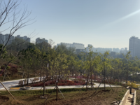 군산 기후대응도시숲 ‘새들허브숲’모습 드러낸다