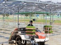 영농형 태양광으로 농산물과 전기생산을 동시에