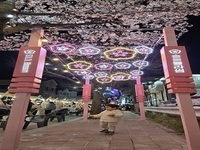 강릉시, 우리 동네 문제는 우리가 해결한다