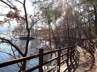 대전시 동구, 대청호 생태관광 허브센터 구축